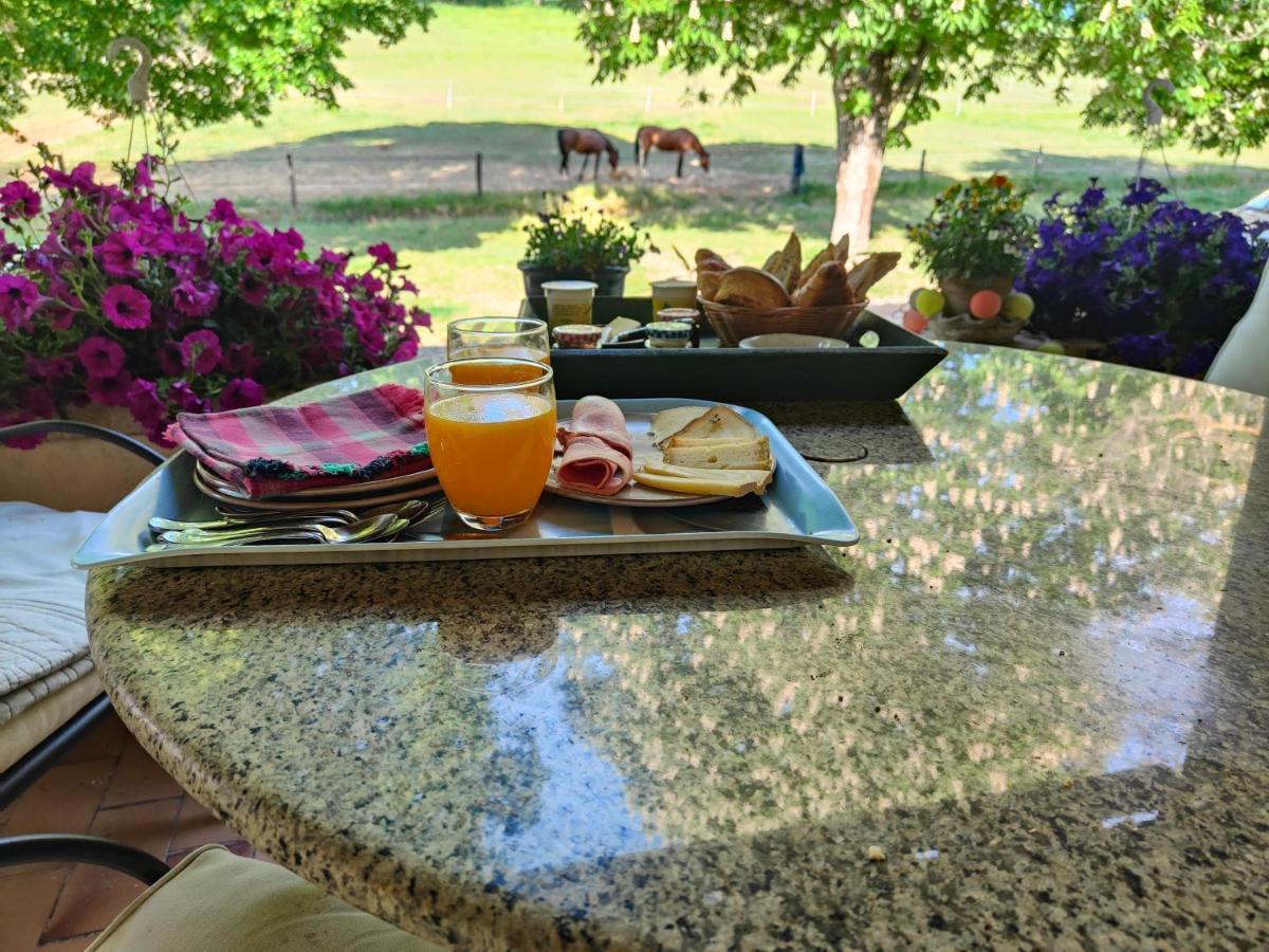 Domaine Bellavigne Gites Et Spa Forcalquier Zewnętrze zdjęcie