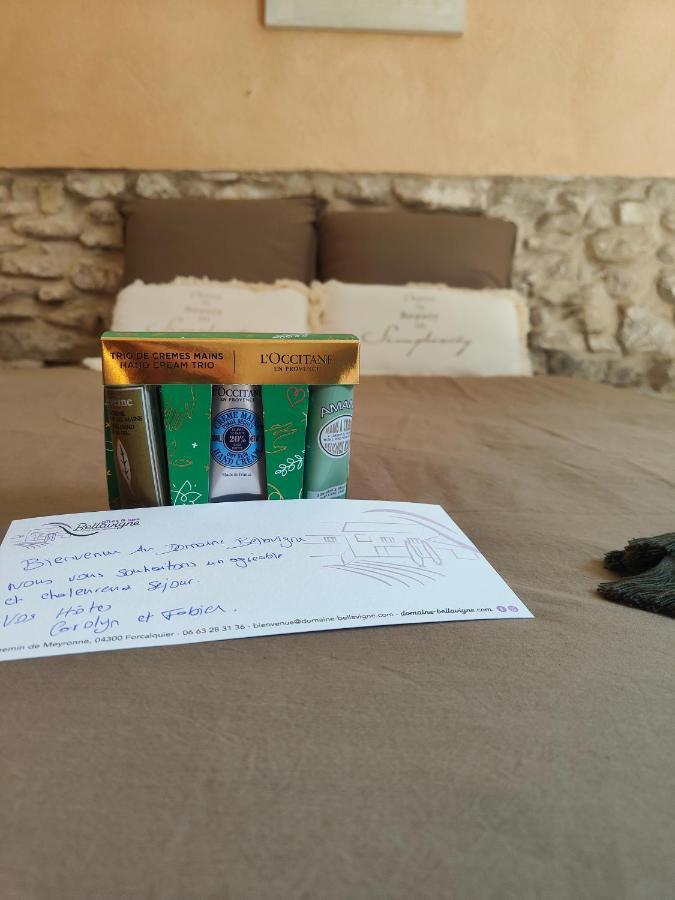 Domaine Bellavigne Gites Et Spa Forcalquier Zewnętrze zdjęcie